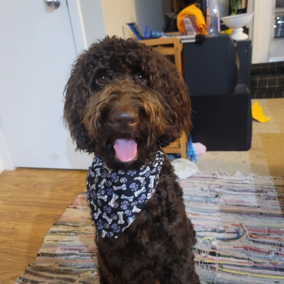 Meet your Posher, Claire - Picture 3 of 5